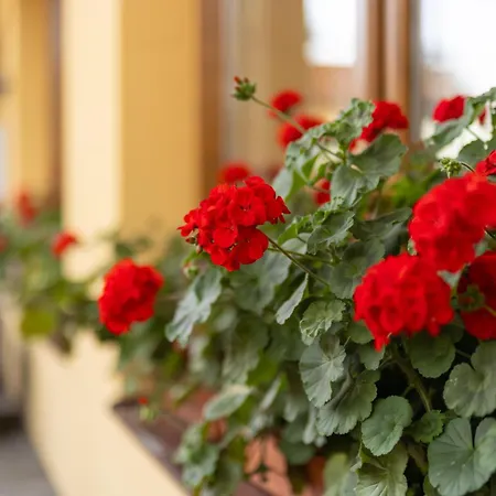 Prázdninový areál Orava Dolny Kubin