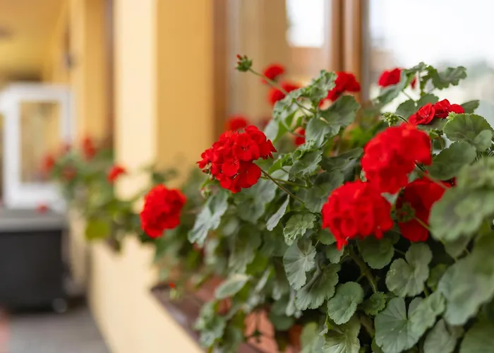 Holiday park Orava Dolny Kubin